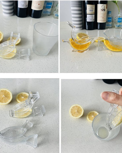 Storcator de Citrice Manual, Rezistente, Usor de Folosit si Depozitat, Durabil, Calitativ,Model Peste