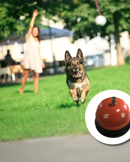 Clopotel Metalic Multifunctional