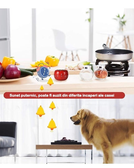 Cronometru mecanic de bucatarie forma de rosie, 60 de minute,material ABS