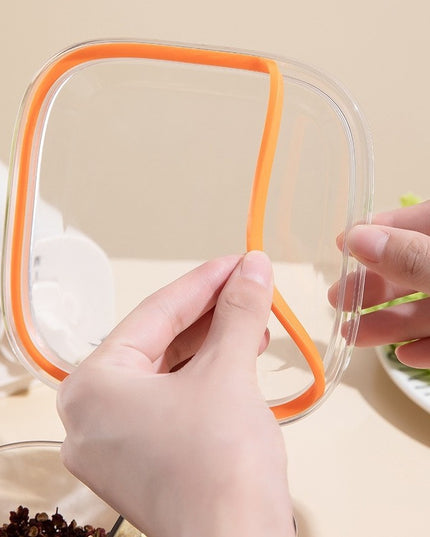 Depozitare Alimente, din Plastic/Silicon,5 Compartimente