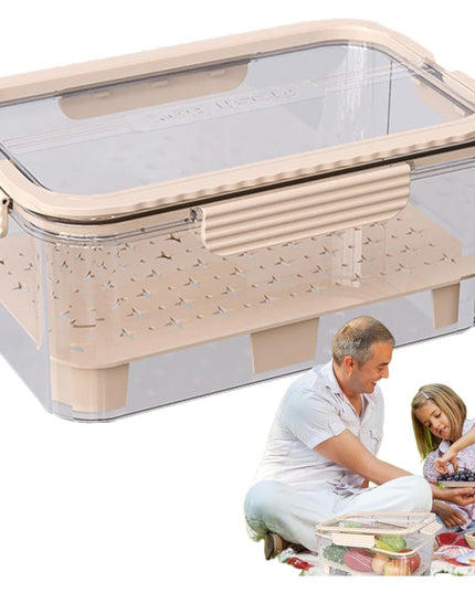 pentru Depozitare Alimente, de Uz Casnic, 2 Compartimente, Zona pentru Gheata, Mentinere Fresh, cu Maner, Material PET