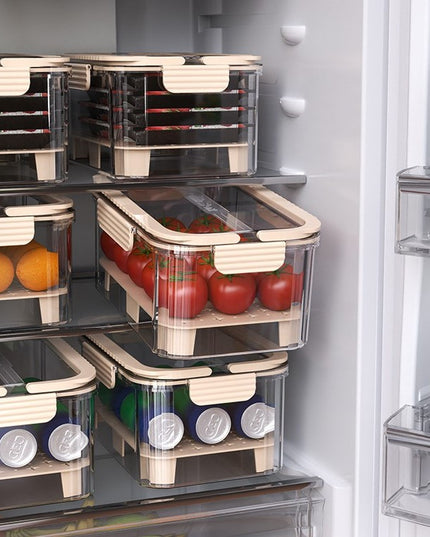 pentru Depozitare Alimente, de Uz Casnic, 2 Compartimente, Zona pentru Gheata, Mentinere Fresh, cu Maner, Material PET