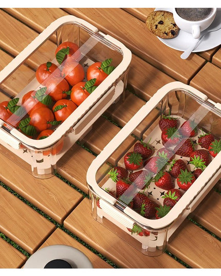 pentru Depozitare Alimente, de Uz Casnic, 2 Compartimente, Zona pentru Gheata, Mentinere Fresh, cu Maner, Material PET