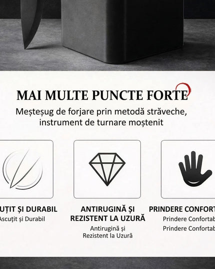 Cutite Bucatarie, Set 9 Piese, Otel Inoxidabil cu Acoperire Antiaderenta, Suport Depozitare Inclus, 6 Cutite, Tija Ascutire si Foarfeca Bucatarie, 31 x 10 x 10 cm