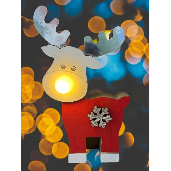 Decoratiune Craciun cu lumina, Ren, lumina