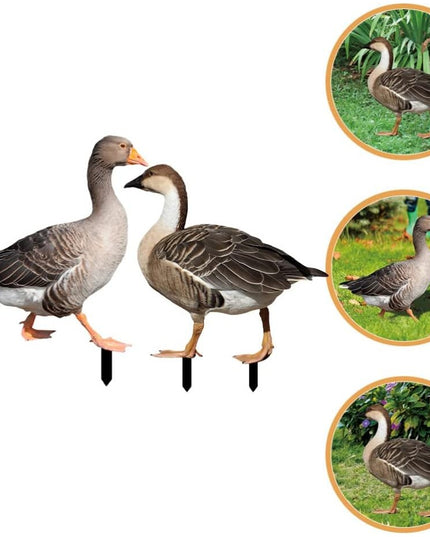 Decoratiune de Gradina, Model Gasca Salbatica, Tip Placa, Grosime , Fata-Verso