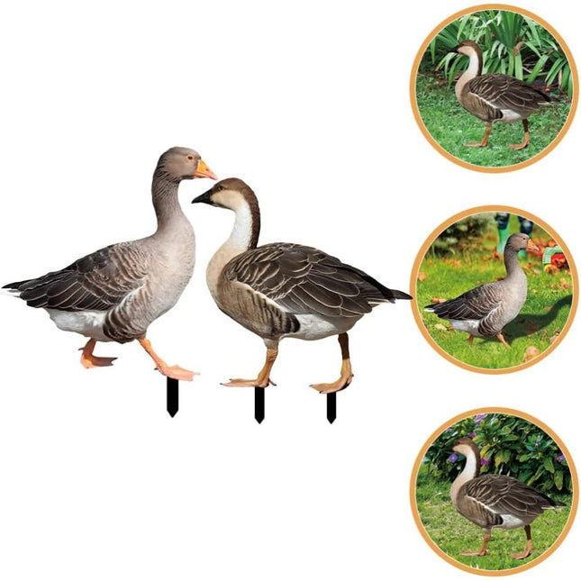 Decoratiune de Gradina, Model Gasca Salbatica, Tip Placa, Grosime , Fata-Verso