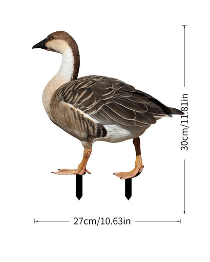 Decoratiune de Gradina, Model Gasca Salbatica, Tip Placa, Grosime , Fata-Verso