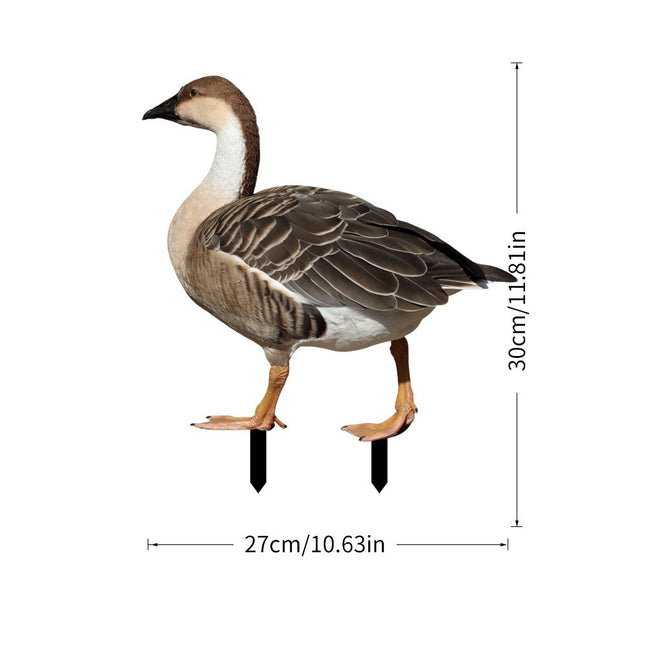 Decoratiune de Gradina, Model Gasca Salbatica, Tip Placa, Grosime , Fata-Verso