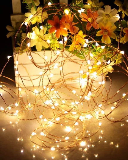 Instalatie Craciun, 1 metru, 10 LED-uri