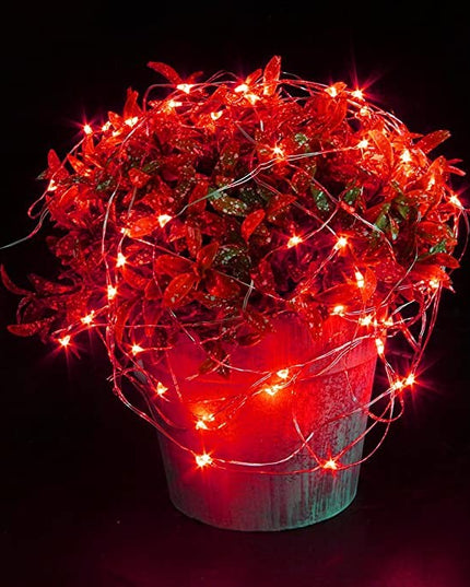 Instalatie Craciun, 2 metri, 20 LED-uri