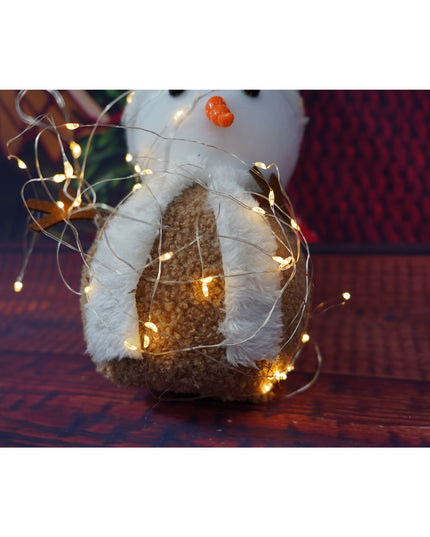 Instalatie Craciun, 5 metri, 50 LED-uri