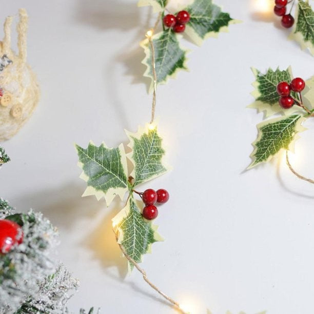 Instalatie Craciun cu baterii, 2 metri, 20 LED-uri tip fructe rosii