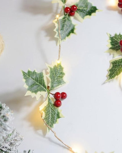 Instalatie Craciun cu baterii, 2 metri, 20 LED-uri tip fructe rosii