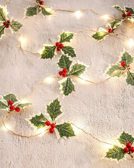 Instalatie Craciun cu baterii, 2 metri, 20 LED-uri tip fructe rosii