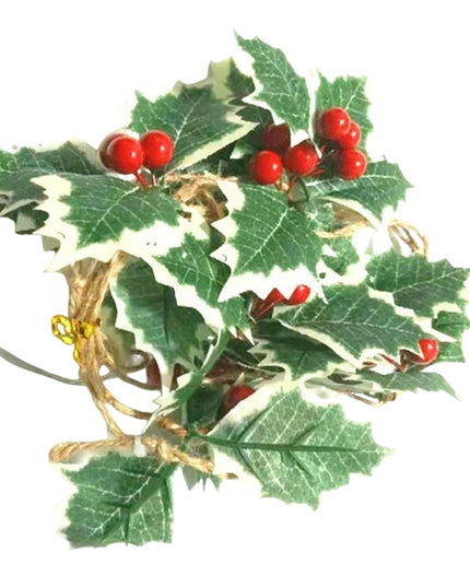 Instalatie Craciun cu baterii, 2 metri, 20 LED-uri tip fructe rosii