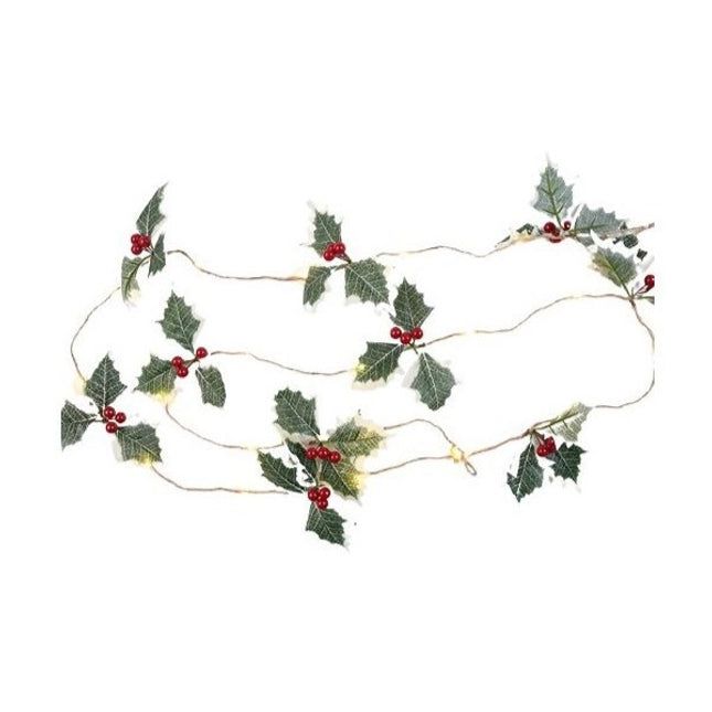 Instalatie Craciun cu baterii, 2 metri, 20 LED-uri tip fructe rosii