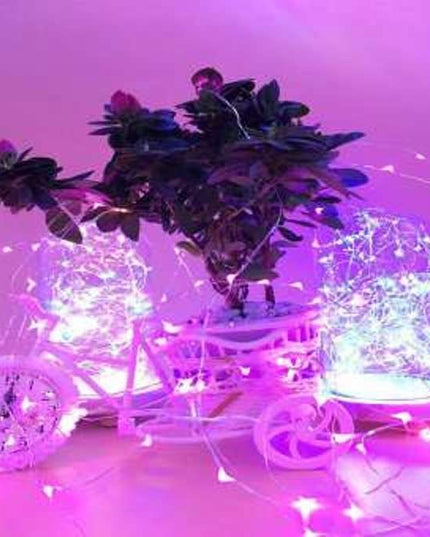 Instalatie de Craciun cu Baterii Fir Cupru Tip Sir 50 LED -uri