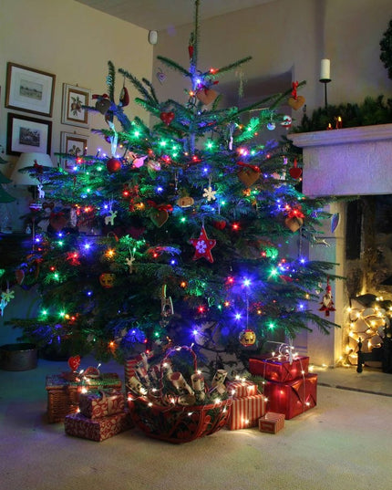 Instalatie de Craciun cu Baterii Fir