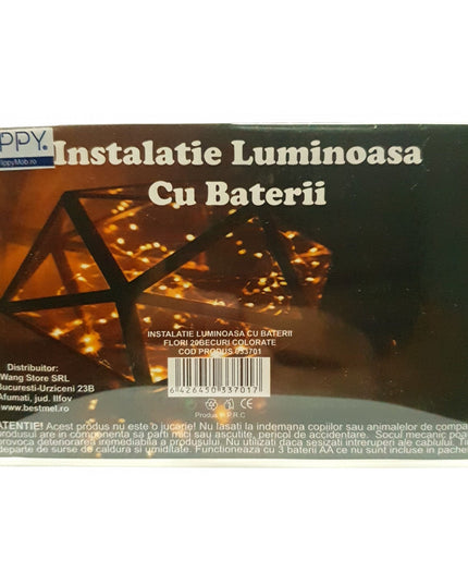 Instalatie de Craciun cu Baterii Tip Sir 20 LED -uri Flori
