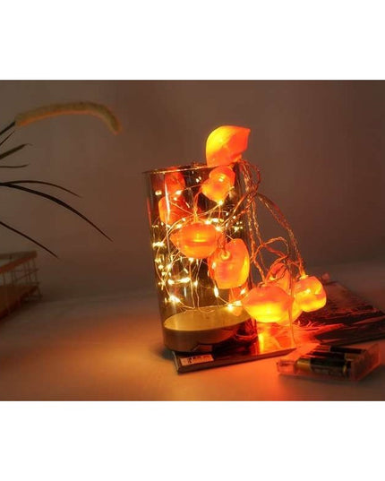 Instalatie de Craciun, ®, Tip Sir cu Baterii,10 LED-uri, Model Buze