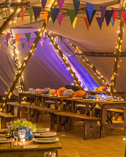 Instalatie de Craciun Liniara Yoto,Prelungitor 220V, 498 LED, 8 Jocuri de Lumini, Controler, Fir