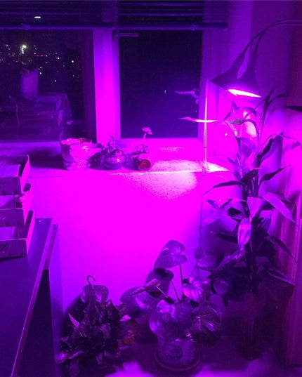 Lampa pentru cresterea plantelor de interior, nu emana caldura, 290 leduri, 2 culori , prindere cu clips