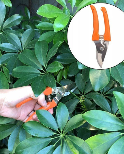 12 Unelte de Gradina, pentru Plantare Prelucrare Sol si Ingrijire Plante, Manere Portocalii, Material PVC si Cardboard, Inclusa