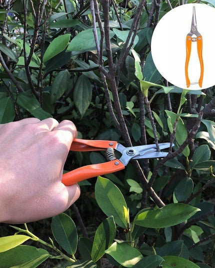 12 Unelte de Gradina, pentru Plantare Prelucrare Sol si Ingrijire Plante, Manere Portocalii, Material PVC si Cardboard, Inclusa