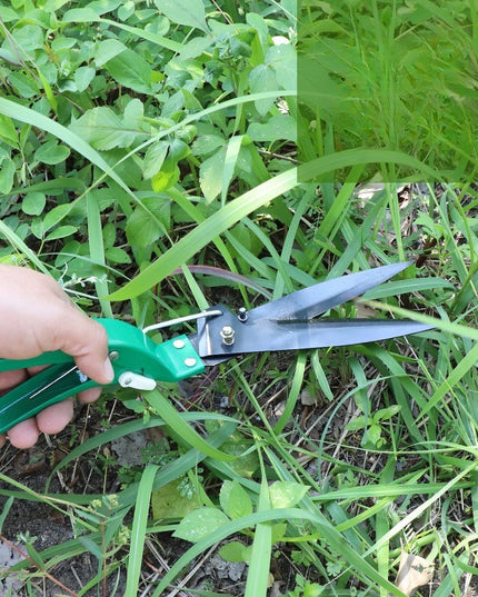 10 accesorii pentru gradinarit geanta depozitare inclusa, otel inoxidabil