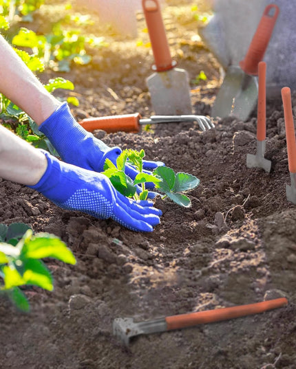 10 Unelte de Gradina, pentru Plantare Prelucrare Sol si Ingrijire Plante, Manere Portocalii, Material PVC si Otel Inoxidabil, Inclusa