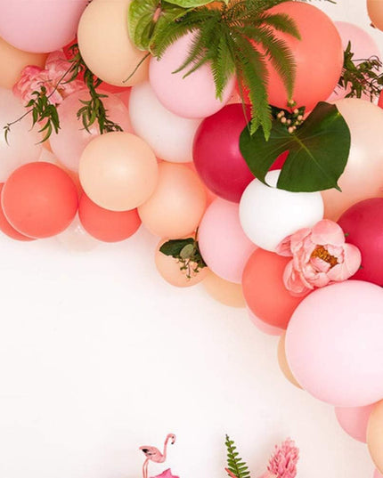 12 Baloane, din Latex Macaroon