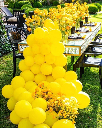 12 Baloane, din Latex Standard