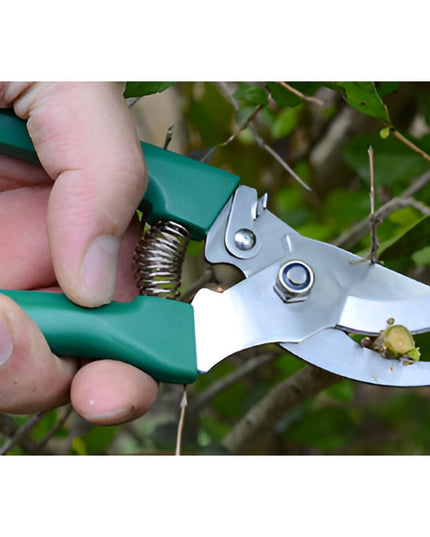 12 Unelte de Gradina, pentru Plantare Prelucrare Sol si Ingrijire Plante, Material PVC si Otel, Inclusa