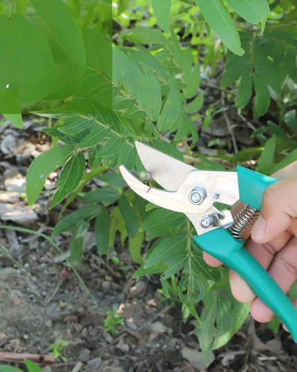 5 accesorii pentru gradinarit geanta depozitare inclusa, otel inoxidabil