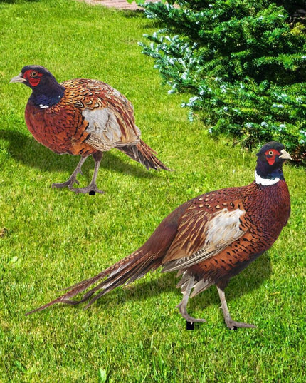 2 Decoratiuni de Gradina, Model Fazani, Tip Placa, Grosime , Fata-Verso