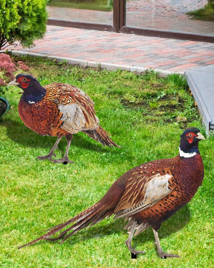 2 Decoratiuni de Gradina, Model Fazani, Tip Placa, Grosime , Fata-Verso