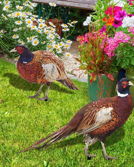 2 Decoratiuni de Gradina, Model Fazani, Tip Placa, Grosime , Fata-Verso