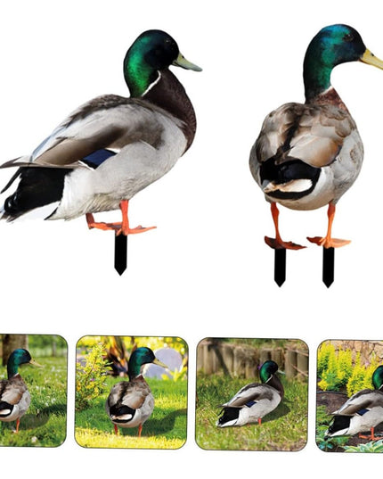 2 Decoratiuni de Gradina, Model Rata, Tip Placa, Grosime , Fata-Verso