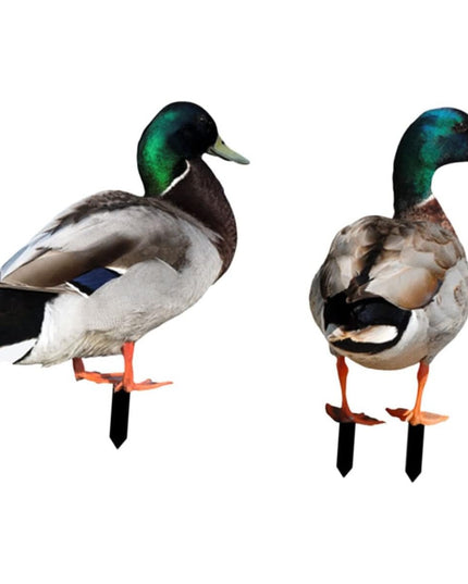 2 Decoratiuni de Gradina, Model Rata, Tip Placa, Grosime , Fata-Verso