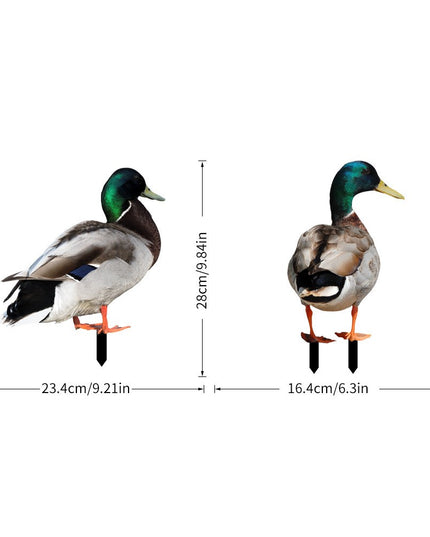 2 Decoratiuni de Gradina, Model Rata, Tip Placa, Grosime , Fata-Verso