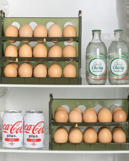 Suport Organizator pentru Oua, pentru Frigider