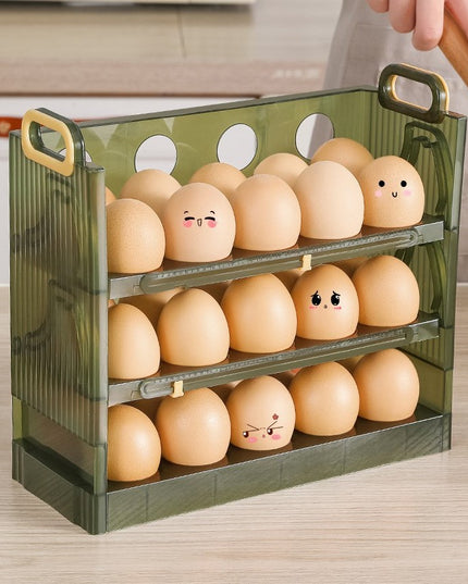 Suport Organizator pentru Oua, pentru Frigider