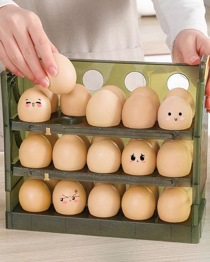 Suport Organizator pentru Oua, pentru Frigider