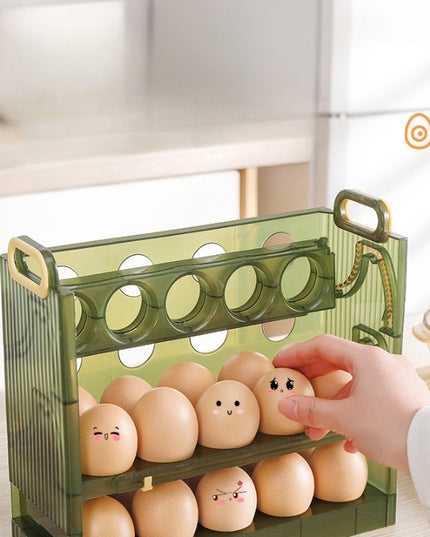 Suport Organizator pentru Oua, pentru Frigider